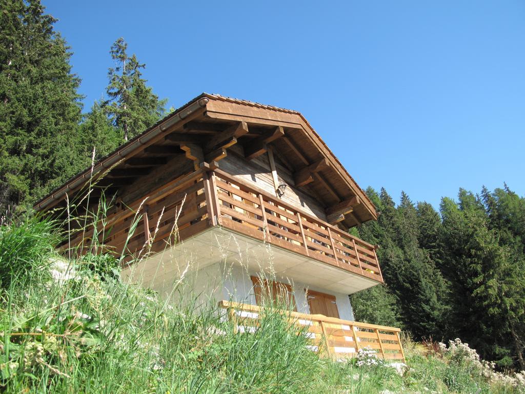Chalet Amos Villa Grimentz Bagian luar foto